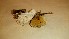  ( - TROM_F_26670)  @11 [ ] CreativeCommons - Attribution Non-Commercial Share-Alike (2018) Unspecified Tromsø University Museum