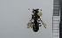  ( - NHMO_APO00048)  @12 [ ] No Rights Reserved (2013) Unspecified University of Oslo, Natural History Museum