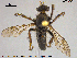  ( - NOBRA349)  @11 [ ] CreativeCommons - Attribution Non-Commercial Share-Alike (2015) NTNU University Museum, Department of Natural History NTNU University Museum, Department of Natural History