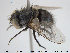  ( - NOBRA 374)  @11 [ ] CreativeCommons - Attribution Non-Commercial Share-Alike (2015) NTNU University Museum, Department of Natural History NTNU University Museum, Department of Natural History
