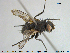  ( - NOTAC302)  @12 [ ] CreativeCommons - Attribution Non-Commercial Share-Alike (2015) NTNU University Museum, Department of Natural History NTNU University Museum, Department of Natural History
