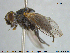  ( - NOTAC303)  @12 [ ] CreativeCommons - Attribution Non-Commercial Share-Alike (2015) NTNU University Museum, Department of Natural History NTNU University Museum, Department of Natural History