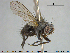  ( - NOTAC304)  @13 [ ] CreativeCommons - Attribution Non-Commercial Share-Alike (2015) NTNU University Museum, Department of Natural History NTNU University Museum, Department of Natural History