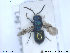  ( - NOCHR191)  @11 [ ] CreativeCommons - Attribution Non-Commercial Share-Alike (2013) Arnstein Staverlokk Norwegian Institute of Nature Research