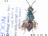  ( - NOCHR200)  @13 [ ] CreativeCommons - Attribution Non-Commercial Share-Alike (2013) Arnstein Staverlokk Norwegian Institute of Nature Research