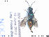  ( - NOCHR201)  @13 [ ] CreativeCommons - Attribution Non-Commercial Share-Alike (2013) Arnstein Staverlokk Norwegian Institute of Nature Research