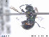  ( - NOCHR204)  @11 [ ] CreativeCommons - Attribution Non-Commercial Share-Alike (2013) Arnstein Staverlokk Norwegian Institute of Nature Research