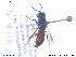  ( - NOCHR268)  @12 [ ] CreativeCommons - Attribution Non-Commercial Share-Alike (2013) Arnstein Staverlokk Norwegian Institute of Nature Research