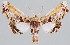  ( - BC-JB0005)  @11 [ ] Copyright (2010) Unspecified Research Collection of Jerome Barbut