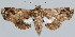  ( - BC-JB0013)  @11 [ ] Copyright (2010) Unspecified Research Collection of Jerome Barbut