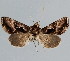  ( - BC-JB0029)  @11 [ ] Copyright (2010) Unspecified Research Collection of Jerome Barbut