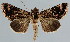  ( - BC-JB0040)  @11 [ ] Copyright (2010) Unspecified Research Collection of Jerome Barbut