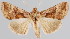  ( - BC-JB0044)  @11 [ ] Copyright (2010) Unspecified Research Collection of Jerome Barbut