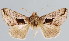  ( - BC-JB0046)  @14 [ ] Copyright (2010) Unspecified Research Collection of Jerome Barbut