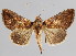  ( - BC-JB0050)  @11 [ ] Copyright (2010) Unspecified Research Collection of Jerome Barbut