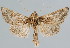  ( - BC-JB0058)  @14 [ ] Copyright (2010) Unspecified Research Collection of Jerome Barbut