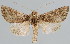  ( - BC-JB0059)  @14 [ ] Copyright (2010) Unspecified Research Collection of Jerome Barbut