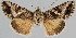  ( - BC-JB0063)  @14 [ ] Copyright (2010) Unspecified Research Collection of Jerome Barbut