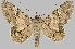  ( - BC-JB0491)  @11 [ ] Copyright (2023) Jérôme Barbut Museum national d'Histoire naturelle
