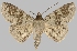  ( - BC-JB0495)  @11 [ ] Copyright (2023) Jérôme Barbut Museum national d'Histoire naturelle