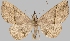  ( - BC-JB0572)  @11 [ ] Copyright (2023) Jérôme Barbut Museum national d'Histoire naturelle