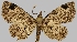  ( - BC-JB0590)  @11 [ ] Copyright (2023) Jérôme Barbut Museum national d'Histoire naturelle