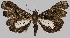  ( - BC-JB0629)  @11 [ ] Copyright (2023) Jérôme Barbut Museum national d'Histoire naturelle