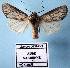  ( - BC-HAXNoctu0011)  @13 [ ] Copyright (2010) Unspecified Research Collection of Jean Haxaire