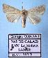  ( - BC-HAXNoctu0074)  @12 [ ] Copyright (2010) Unspecified Research Collection of Jean Haxaire