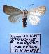  ( - BC-HAXNoctu0075)  @13 [ ] Copyright (2010) Unspecified Research Collection of Jean Haxaire