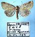  ( - BC-HAXNoctu0076)  @11 [ ] Copyright (2010) Unspecified Research Collection of Jean Haxaire