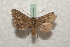  ( - BC-HAXNoctu0555)  @14 [ ] Copyright (2010) Unspecified Research Collection of Jean Haxaire