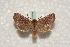  ( - BC-HAXNoctu0559)  @14 [ ] Copyright (2010) Unspecified Research Collection of Jean Haxaire