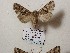  ( - BC-HAXNoctu0717)  @11 [ ] Unspecified (default): All Rights Reserved  Unspecified Unspecified