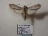 ( - BC-HAXNoctu0723)  @11 [ ] Unspecified (default): All Rights Reserved  Unspecified Unspecified
