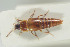  ( - NOCOL201)  @11 [ ] CreativeCommons - Attribution Non-Commercial Share-Alike (2015) Arnstein Staverlokk Norwegian Institute of Nature Research