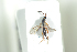  ( - HYMNI1802)  @11 [ ] CreativeCommons - Attribution Non-Commercial Share-Alike (2016) Arnstein Staverlokk Norwegian Institute of Nature Research