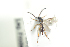  ( - HYMNI1803)  @11 [ ] CreativeCommons - Attribution Non-Commercial Share-Alike (2016) Arnstein Staverlokk Norwegian Institute of Nature Research