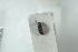  ( - NOCOL1195)  @11 [ ] CreativeCommons - Attribution Non-Commercial Share-Alike (2018) Arnstein Staverlokk Norwegian Institute of Nature Research