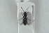  ( - NOCOL1197)  @11 [ ] CreativeCommons - Attribution Non-Commercial Share-Alike (2018) Arnstein Staverlokk Norwegian Institute of Nature Research