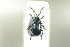  ( - NOCOL508)  @12 [ ] CreativeCommons - Attribution Non-Commercial Share-Alike (2016) Arnstein Staverlokk Norwegian Institute of Nature Research