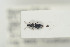  ( - NOCOL301)  @11 [ ] CreativeCommons - Attribution Non-Commercial Share-Alike (2015) Arnstein Staverlokk Norwegian Institute of Nature Research