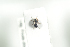  ( - NOCOL577)  @13 [ ] CreativeCommons - Attribution Non-Commercial Share-Alike (2016) Arnstein Staverlokk Norwegian Institute of Nature Research