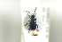  ( - NOCOL640)  @12 [ ] CreativeCommons - Attribution Non-Commercial Share-Alike (2016) Arnstein Staverlokk Norwegian Institute of Nature Research