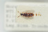  ( - NOCOL193)  @11 [ ] CreativeCommons - Attribution Non-Commercial Share-Alike (2015) Arnstein Staverlokk Norwegian Institute of Nature Research