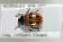  ( - NOCOL415)  @13 [ ] CreativeCommons - Attribution Non-Commercial Share-Alike (2016) Arnstein Staverlokk Norwegian Institute of Nature Research