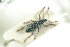  ( - NOCOL762)  @12 [ ] CreativeCommons - Attribution Non-Commercial Share-Alike (2016) Arnstein Staverlokk Norwegian Institute of Nature Research