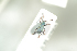  (Phyllobius virideaeris - NOCOL779)  @13 [ ] CreativeCommons - Attribution Non-Commercial Share-Alike (2016) Arnstein Staverlokk Norwegian Institute of Nature Research