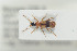  ( - NOCOL004)  @13 [ ] CreativeCommons - Attribution Non-Commercial Share-Alike (2015) Arnstein Staverlokk Norwegian Institute of Nature Research
