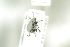  ( - NOCOL802)  @12 [ ] CreativeCommons - Attribution Non-Commercial Share-Alike (2016) Arnstein Staverlokk Norwegian Institute of Nature Research